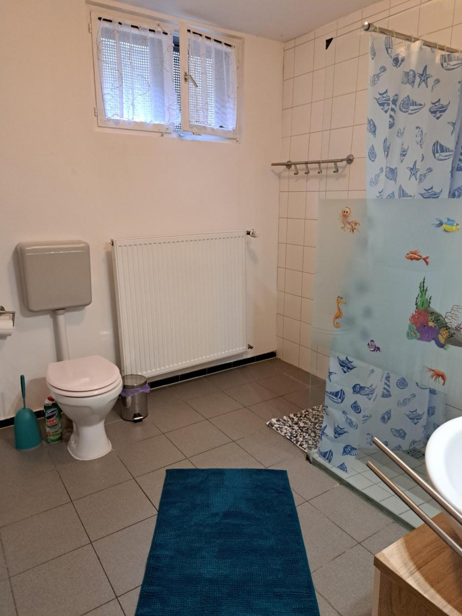 Wohnung Mit 2 - 3 Zimmern Ballenberg Екстериор снимка